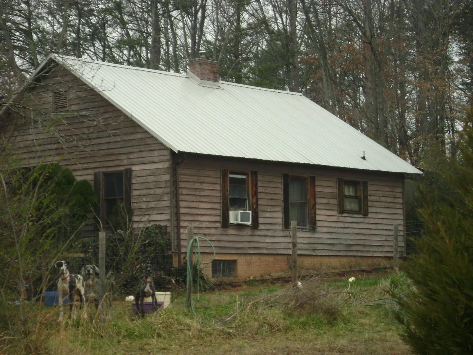 White metal roof on an old wood sided farmhouse, from a Metal Roof Installation job in Eagle